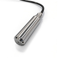Stainless Steel Submersible Hydrostatic Pressure Level Transmitter Customize High Precision Water Oil Level Pressure Sensor
