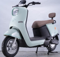 SAIGE EEC Moto Électrique Tricycle Solaire avec Portes, Moto Rechargeable pour Femme