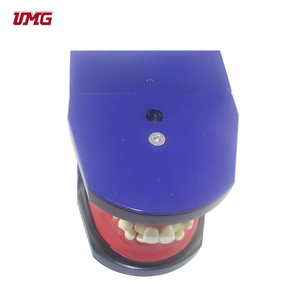 Mô Hình Chỉnh Nha Răng - Product Image 5