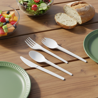 Fournisseur de couverts compostables en CPLA, couteau, fourchette, cuillère, ustensiles jetables écologiques, vente en gros