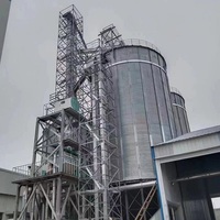 Silos di stoccaggio Silo di farina in polvere Silo di mais a prezzo di fabbrica