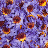 Aroma Alami yang Kuat, Bunga Teratai Biru Kering Utuh & Kelopak yang Digiling Grosir, Ideal untuk Campuran Herbal untuk Merokok