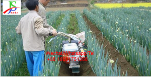 Multifuncional diesel idílico trench creciente del suelo jengibre verde cebolla <span class=keywords><strong>patatas</strong></span> de caña de azúcar, la plantación de la máquina - Product Image 6