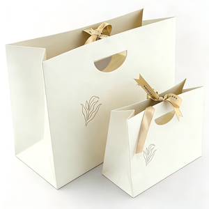 豪华环保礼品纸袋定制印刷徽标多种颜色批发带丝带手柄购物袋适合小件服装 - Product Image 1