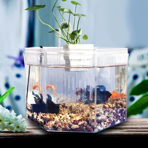 Şeffaf ev masaüstü Mini akvaryum Betta ve japon balığı ayrılabilir akrilik tankı