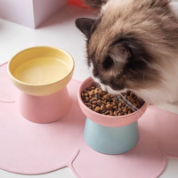 Bols en céramique durables et légers pour animaux de compagnie, chats, chiens et oiseaux, imperméables, nouveau design, bol biseauté, support pour nourriture et eau