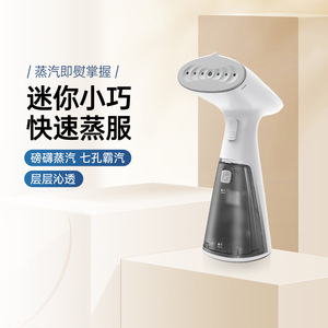 Handheld Garment Steamer T06 0.8L Below Electric Portable Steam Iron For Home Dormitory Use - Product Image 3