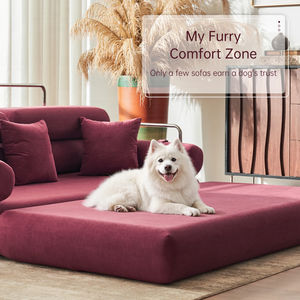 2026 Latest Style Extendable Living Room <b>Bedroom</b> Furniture Amazonn Moq 1 Piece Vacuum Compressed <b>Sofa</b> Bed in <b>Small</b> CBM - Product Image 4