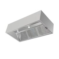 Fabriqué en Chine hottes de gamme de filtre de cuisine en acier inoxydable durables professionnelles pour purifier les fumées d'huile