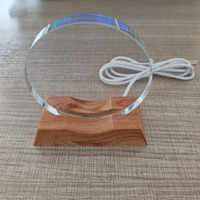 Lampada Notturna LED in Cristallo Luminoso per Bambini, Incisione Laser con Motivo Floreale, Alta Qualità GLINN PF024, Decorazione Casa, Regalo