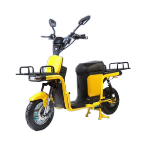 Vélo cargo électrique à grande vitesse 1000w <span class=keywords><strong>2</strong></span> <span class=keywords><strong>places</strong></span> avec <span class=keywords><strong>roues</strong></span> de livraison 300-10 pneus antidérapants <span class=keywords><strong>moto</strong></span> électrique - Product Image 1