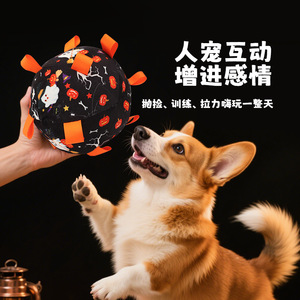 Halloween <b>Dog</b> Toy <b>Ball</b> 15Cm Durable Chew Toy For Pets Outdoor Play - Product Image 4