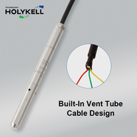 Sonde de niveau submersible Holykell 16 mm pour la mesure des puits profonds, des forages et des ouvertures étroites