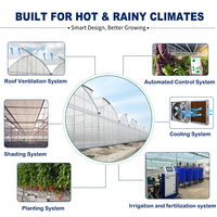Zware industriële kwaliteit gegalvaniseerd metalen frame regenbestendige UV-bestendige polyethyleenfolie multi-tunnel kas