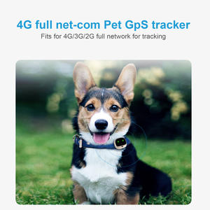 4G Pet Locator GPS Tracker WiFi BLE Standort Anti-Lost Cat Collar Breakaway Einstellbares reflektieren des Pet Tracker Hunde halsband - Product Image 2