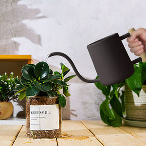 Arrosoir de jardin en acier inoxydable de haute qualité pour plantes d'intérieur et bonsaïs, vente en gros - Product Image 4