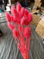 Bunga Teasel Dipsacus Asli Awet Alami, Kepala Bunga Berwarna Pink, Bahan Bunga DIY untuk Dekorasi Pernikahan dan Rumah
