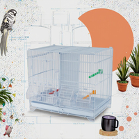 Cage pour chien en acier canari de vente chaude petite cage à oiseaux style classique treillis métallique en métal avec motif animal pour l'élevage d'animaux de compagnie