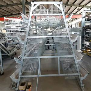 Tự động cho ăn gia cầm lớp lồng gia cầm trang trại gia cầm lồng nuôi hệ thống - Product Image 3