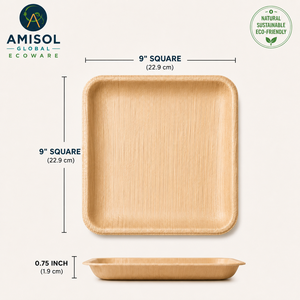 9 Inch Square Areca Palm Leaf <b>Disposable</b> Dinner <b>Plate</b> | Compostable Eco-Friendly Heavy-Duty Catering <b>Plate</b> - Product Image 1