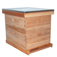 Neuer Standard-Bienenstock mit 10 Rahmen, doppellagig, aus Tannenholz, Langstroth-Imkereiwerkzeug, hellbraun, Herstellerlieferung, grenzüberschreitend