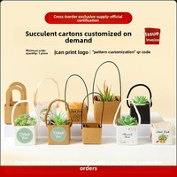 Sac d'emballage cadeau portable en papier kraft imperméable pour plantes et fleurs, boîte pliante pour plantes succulentes en pot, idéal pour l'exportation transfrontalière