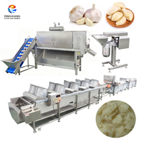 Hoge capaciteit gepersonaliseerde automatische roestvrijstalen machine voor het maken van verse knoflookpasta, inclusief knoflookpeller, -wasser, -blancher en -droger