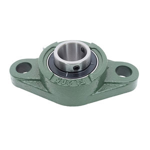 Boring 25Mm 25.4Mm Chroom Stalen Lagers 2 Bouten Flens Gemonteerd Kussen Blok Lagers UC205 UC205-16 FL205 UCFL205 UCFL205-16 - Product Image 2