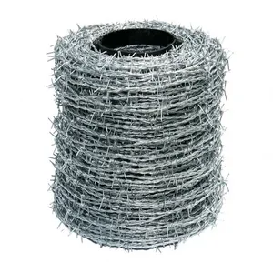 Stainless Steel Double Twist Barbed Wire Wall Spike For High Security Fence