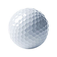 Pelotas de Golf Flotantes Profesionales para Campo de Práctica - Pelotas de Práctica de Alta Elasticidad de 2 Piezas para Clubes y Academias Profesionales