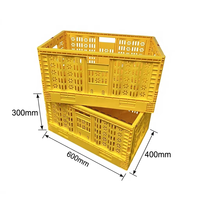 Vente flash : Caisse pliable portable en PP, idéale pour la cuisine, le garde-manger, le salon, caisses de rangement pliables