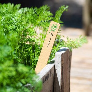 Vente <span class=keywords><strong>en</strong></span> gros de marqueurs de germination <span class=keywords><strong>en</strong></span> bambou, piquets de germination personnalisés pour les herbes et le <span class=keywords><strong>potager</strong></span>, outil à main de jardin parfait pour maman - Product Image 2