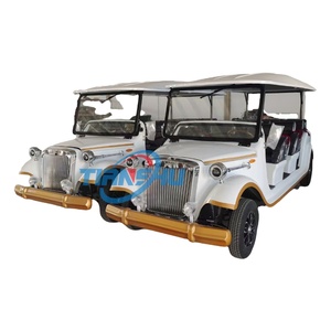 Auto Elettrica Classica di Design Bianco a 3 File e 11 Posti con Carrozzeria Grande, Marca TIANSHU, Certificata CE, Produttore Cinese - Product Image 3