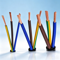 3-adriges RVV PVC-ummanteltes CCA-Steuerkabel für Innen- und Außenbeleuchtungsinstallationen