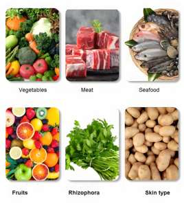 Excellent Nettoyeur Cyclonique pour Fruits et Légumes – Idéal pour la Cuisine et le Nettoyage à Sec des Fruits et Légumes - Product Image 6