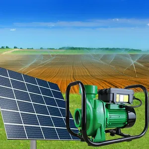 DCM56-15-D110/1500 1500W 110V 2HP High Flow Bomba DC Solar Powered Surface Centrifugal Water Pump For Agriculture Irrigation