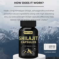 Extrait de Shilajit Pur de l'Himalaya en Capsules 10000 mg pour Hommes – Marque Blanche, Vente en Gros, Complément Alimentaire Naturel Brut de Chine