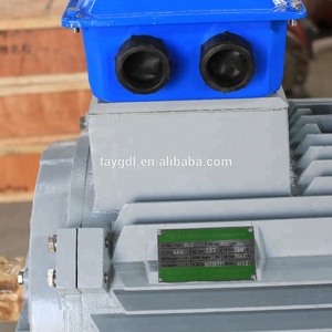 Générateur à aimants permanents à basse vitesse et haute efficacité bibo 350 tr/min 300 kW - Product Image 3