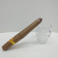 Haute qualité marron Jumbo faux cigare carnaval accessoire blague jouet idéal pour les fêtes à thème et les représentations théâtrales