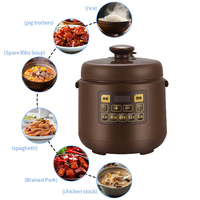 Cuisinière électrique multifonctionnelle de haute qualité pour la maison, 2,5 L, cuiseur à pression, marmite à soupe, cuiseur à riz électrique