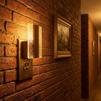 Veilleuse LOHAS en acrylique ambre doux, intensité réglable de 0 à 100 %, allumage automatique du crépuscule à l'aube, lampe de chevet LED à brancher sur prise murale, veilleuse de chambre pour enfants et bébés