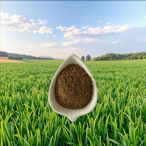 Euter gesundheits futter zusatz für Rinder und Schafe-Verbessert die Milch qualität | Verhindert <span class=keywords><strong>Mastitis</strong></span> | 100% natürliche Inhaltsstoffe - Product Image 3