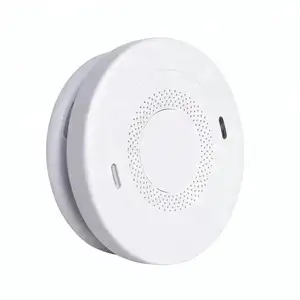 Smoke Alarm Security Alarms Home Commercial 10 Years Battery Independent 2 In 1 Carbon Monoxide Smoke Detector