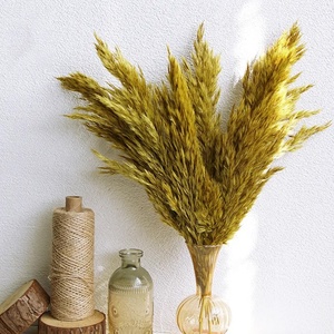 Colorido seco lujo Pampas hierba penacho flor Natural Real conservado salvaje seco Pampas hierba para decoración de boda - Product Image 3