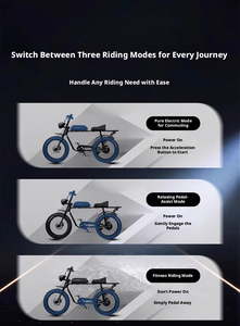 Vélo électrique de ville avec batterie 48V et pneus tout-terrain larges, 25 km/h, conception 3 <span class=keywords><strong>places</strong></span> pour les trajets urbains - Product Image 5