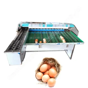 Egg Candler And Grading Machine Small Egg Grader Machine Egg Sort Machine