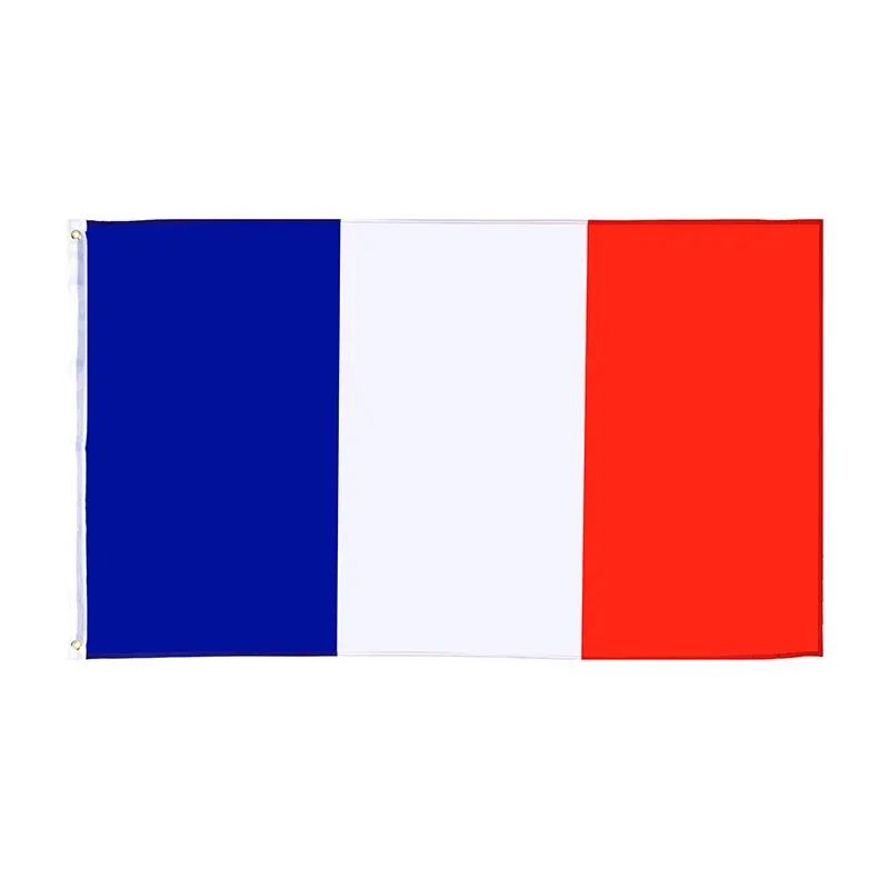 Wholesale 3*5ft 100% polyester France Flags Banners with logo painting