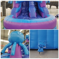 Toboggan aquatique gonflable combiné en promotion – Toboggan aquatique gonflable d'extérieur avec zone de saut