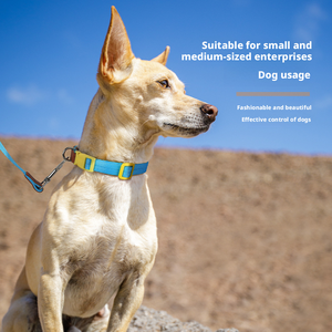 Nouveau <span class=keywords><strong>collier</strong></span> <span class=keywords><strong>pour</strong></span> <span class=keywords><strong>chien</strong></span>, <span class=keywords><strong>collier</strong></span> <span class=keywords><strong>pour</strong></span> <span class=keywords><strong>chien</strong></span> de petite et moyenne taille, ensemble de <span class=keywords><strong>traction</strong></span>, <span class=keywords><strong>collier</strong></span> antidérapant <span class=keywords><strong>pour</strong></span> animaux de compagnie, corde de <span class=keywords><strong>traction</strong></span> <span class=keywords><strong>pour</strong></span> <span class=keywords><strong>chien</strong></span> - Product Image 2