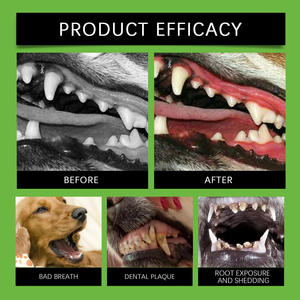 Oimmal all'ingrosso 100g salute orale naturale cane cura dentale integratori per la rimozione della placca tartara denti per la pulizia in polvere per cani - Product Image 4